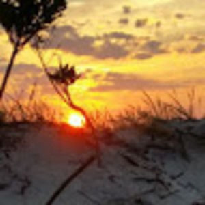 Meet your Posher, Jessi